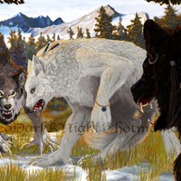 "attack the intruder!!"