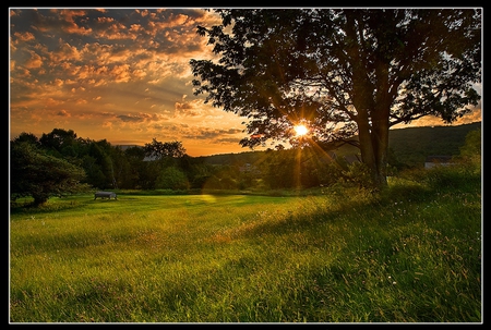 Sunset - landscupe, nature, sunset, other