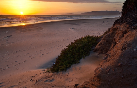 Sunset - nature, beach, sunset, other