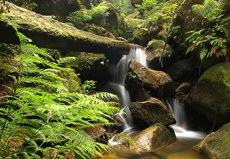 Waterfall - nature, waterfall, other, beautiful