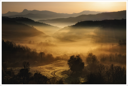 Sunset - sunset, nature, tree, landscupe