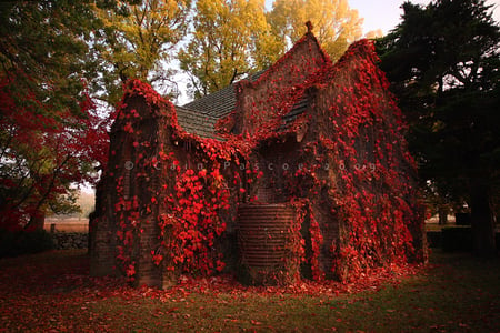 Autumn - beautiful, house, nature, autumn