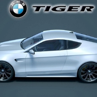 BMW Tiger Concept