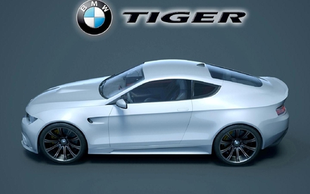 BMW Tiger Concept - bmw, cars, concept, tiger