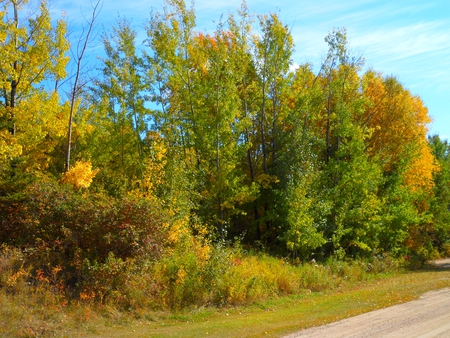 Autumn landscape - landscape, trees, autumn, view