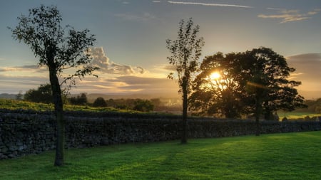 Lazy Morning - morning, stone wall, sunshine, sky, trees, pasture