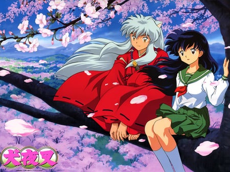 Kagome and InuYasha - inuyasha, kagome, spring, love