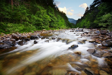 Pindos Mountain River, Greece - rapids, river, mountains, greece, rocks