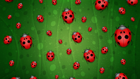 LadyBug's on my Screen - lady bug, background, green, red and black