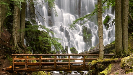 waterfall - freedom, trees, landscape, waterfall, paisaje, nature, amazing, forest, beautiful, scenery, cascada, bridge