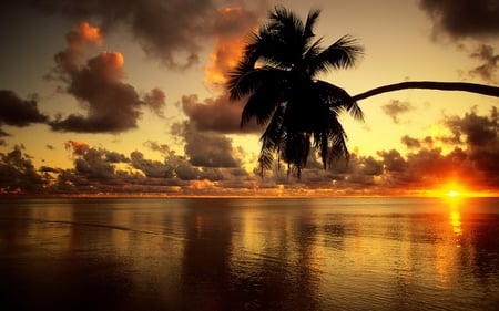 tropical gold - clouds, water, beach, photography, sea, sunshine, beauty, ocean, sand, sunset, nature, golden, sun, sky