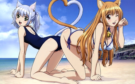 Asobi ni Iku yo! - nekos, anime, swimsuit, female, beach, elis, catears, chaika, babes, asobi ni iku yo