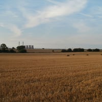 Hay Field