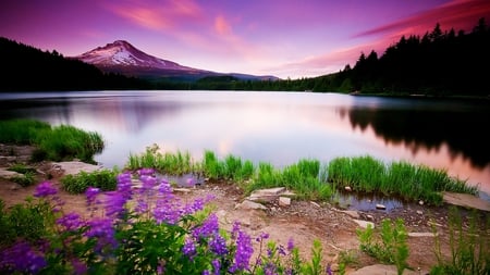 Purple Sunset - purple, lake, sunset, mountain