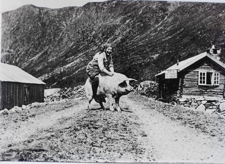 woman on a pig - people, mountain, other, pig