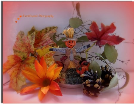 Fall Centerpiece - doll, fall, flowers, leaves, centerpiece, still life