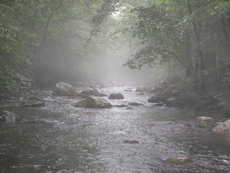 Flowing Creek - entertainment, people, nature, other