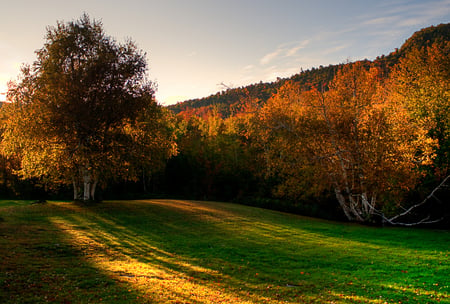 Autumn landscape - beauty, landscape, trees, nature, sun, colors, country, autumn