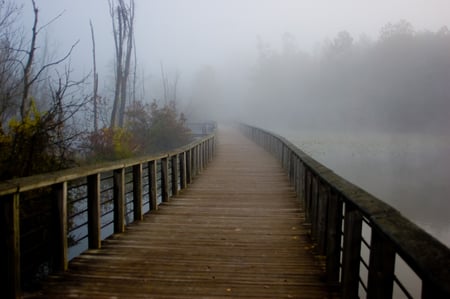 Bridge over the fog - morning, lakes, nature, background, beautiful, fog, bridge