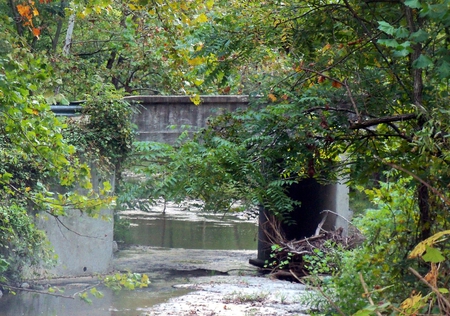 Crosstrack - nature, fall, bridge, creek