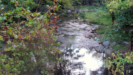 Hunter's Creek - fall, forest, nature, creek