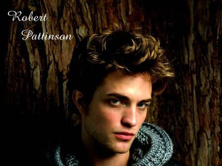 Rob Pattinson - actor, edward cullen, people, twilight, movies, entertainment, robert pattinson