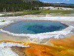 Crested Pool in Yellowstone National Park