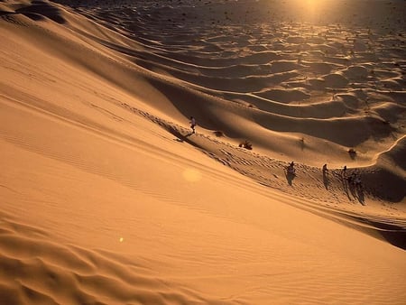 Hikers in the desert - sand, desert, dune, nature