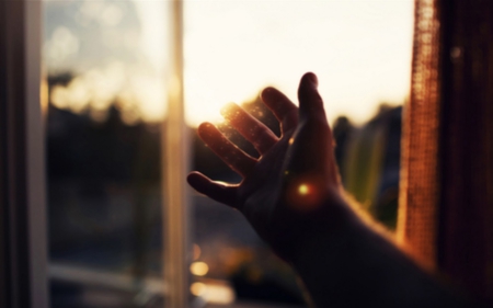 Touch The Sun - abstract, touch, sunlight, photography, light, feel, reach, sun, sky