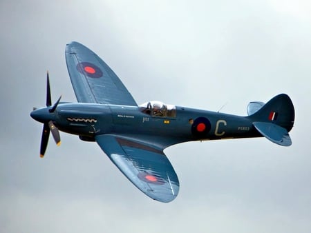 Classic Bird - england, ww2, plane, airplane, prxix, spitfire, wwii, supermarine, english