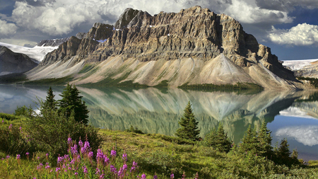 Great Mountains - view, river, great, mountains, flowers