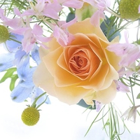 A Spring bouquet with a Rose