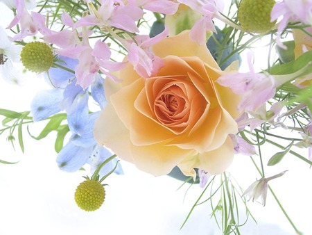 A Spring bouquet with a Rose - flowers, spring