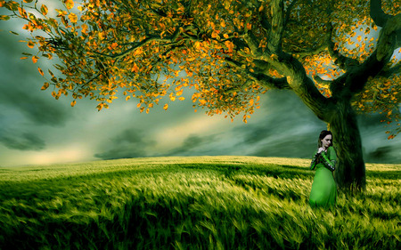 Hopes and Dreams - field, tree, woman, green