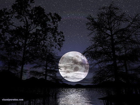 Blue Moon - setting, trees, water