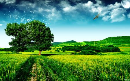 green tree (WDS) - widescreen, fantasy, green, landscape, grass, tree, sky