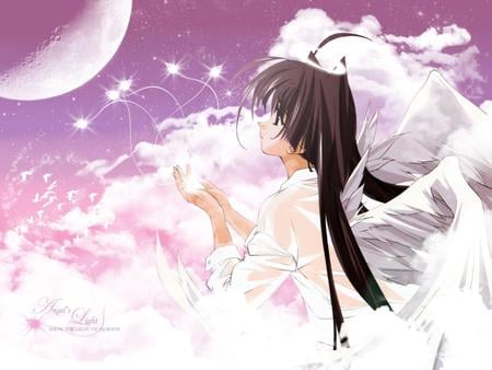 Angels Light - clouds, heaven, moon, anime, grace, white wings, angels light