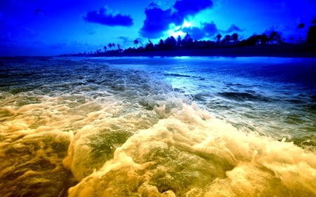 LIGHTED NIGHT - sky, beach, blue, palms, waves