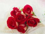 romantic red roses