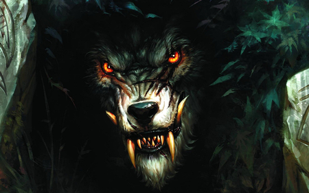 werewolf - monster, dog, beast, wolf