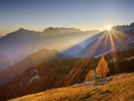 Mountains at sunset - forest, nature, mountain, autumn