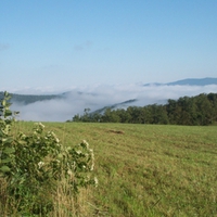 Moses Cone Fog