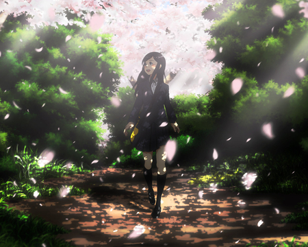 Petal Rain - cherry blossom, trees, girl, sakura, garden