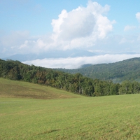 Moses Cone, NC