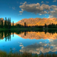 Beautiful Reflection