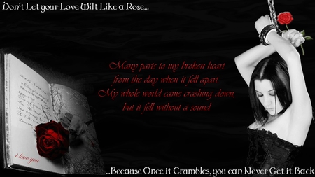 Broken Love - roses, flowers, gothic