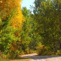 Indian summer by the lake