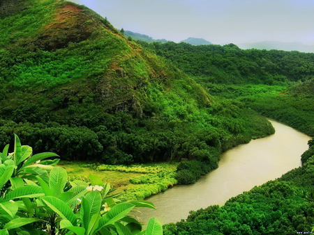 Amazonas River - amazonas, greens, river, trees, plants, mountains, sky