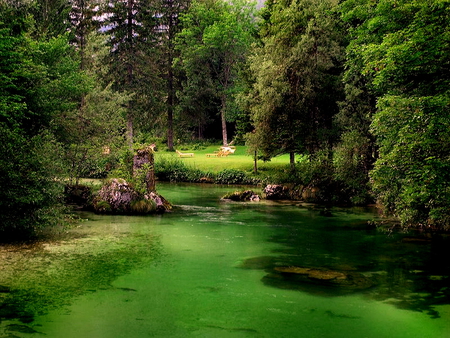 Green lake - trees, beautiful, green, plants, lake, forest