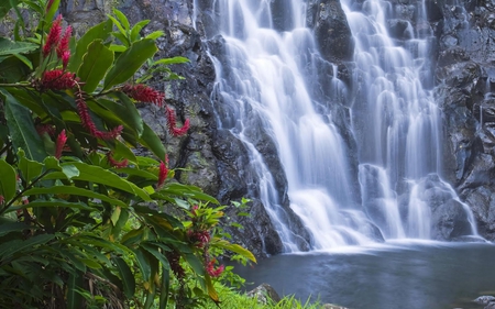 BEAUTIFUL WATERFALLS - nature, waterfalls, mountains, flowers, plants